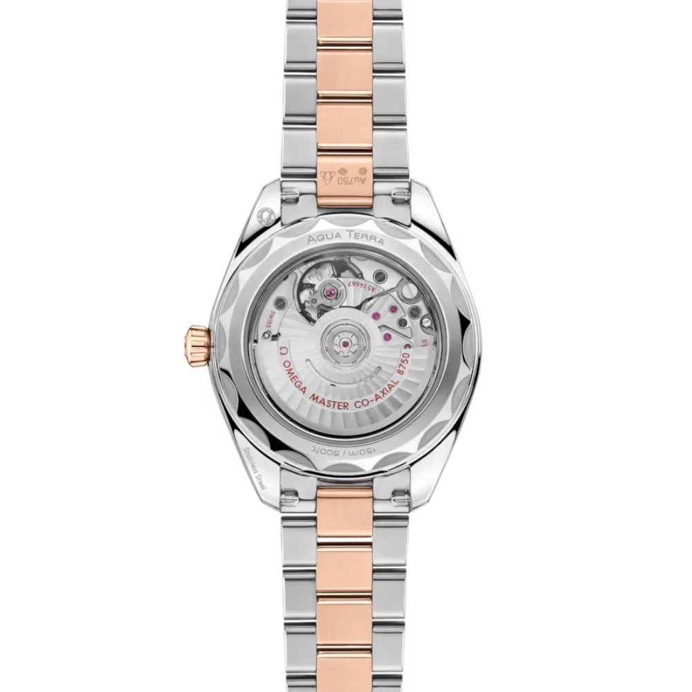 Seamaster Aqua Terra 150M 30 mm, steel ‑ Sedna gold on steel ‑ Sedna gold Ref. 220.20.30.20.63.001 - Image 2