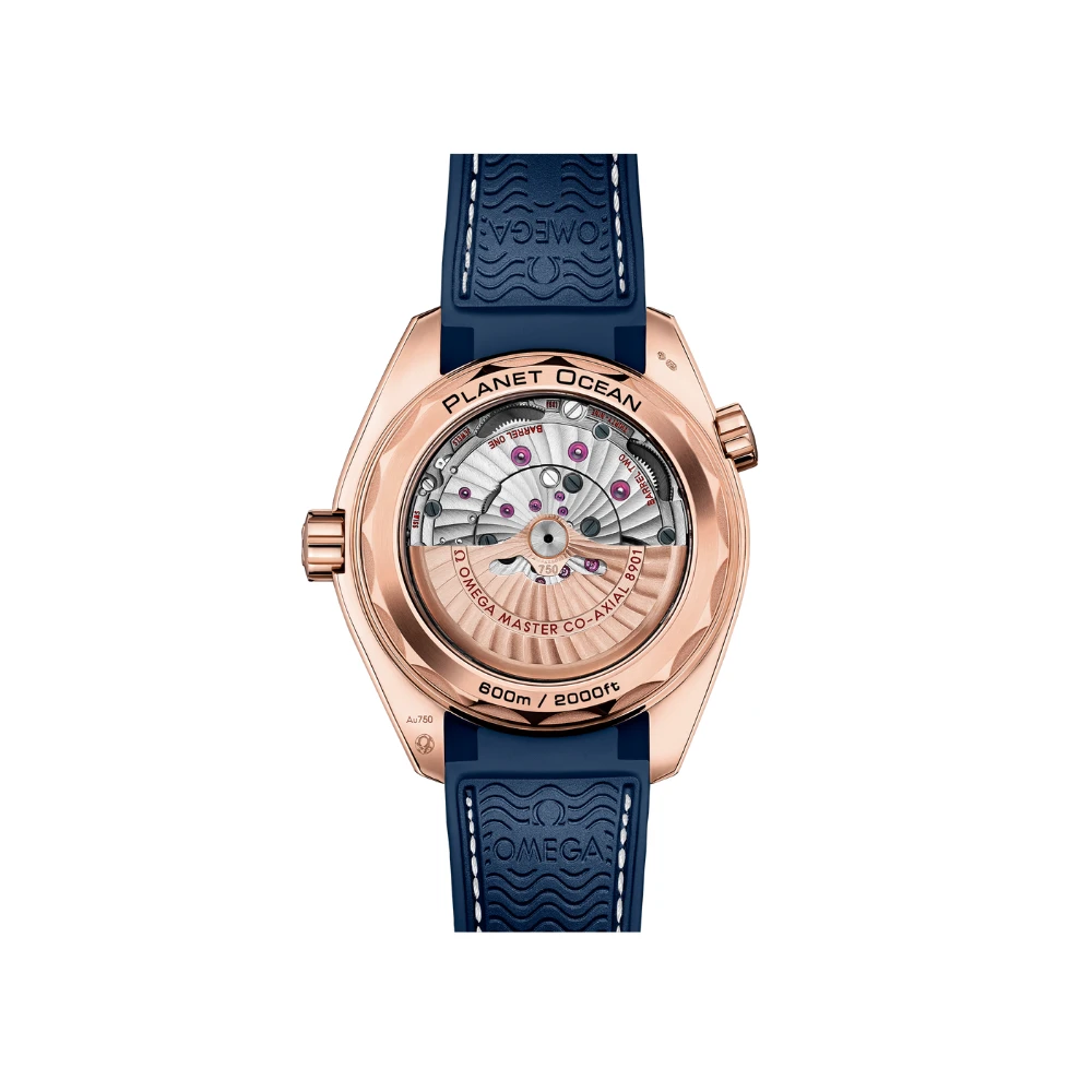 Omega Seamaster PLANET OCEAN 600M - Image 2