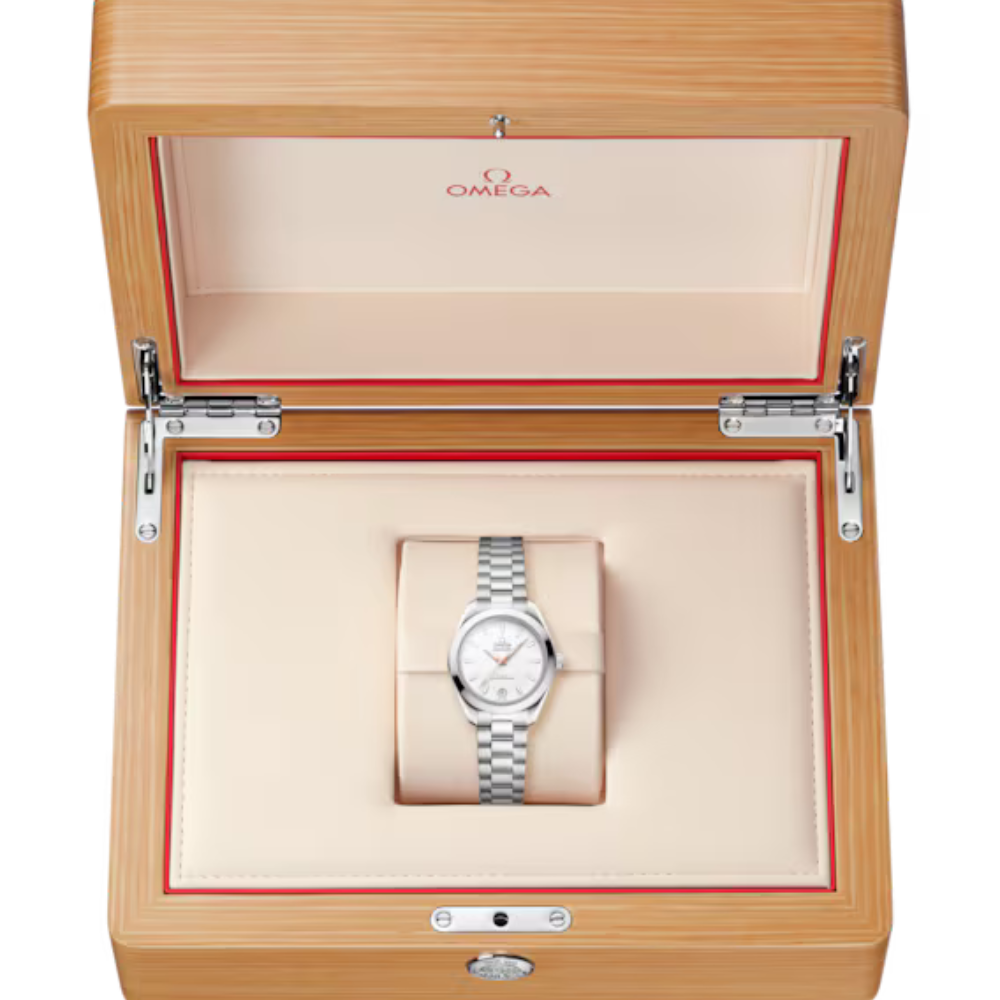 Seamaster Aqua Terra 150M 30 mm, steel on steel Ref. 220.10.30.20.02.001 - Image 5